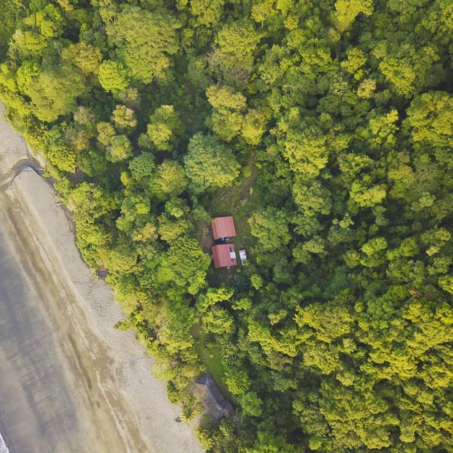 Safio. Una Casa En El Paraiso. Nuquí Eksteriør billede